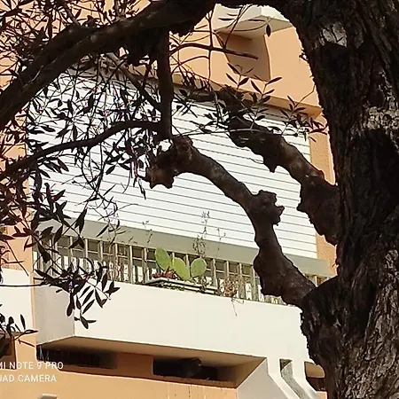 Apartmán Zen Sud A Pied Pin Rolland Sablettes