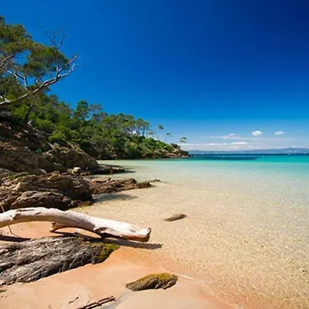 Apartmán Zen Sud A Pied Pin Rolland Sablettes Saint-Elme