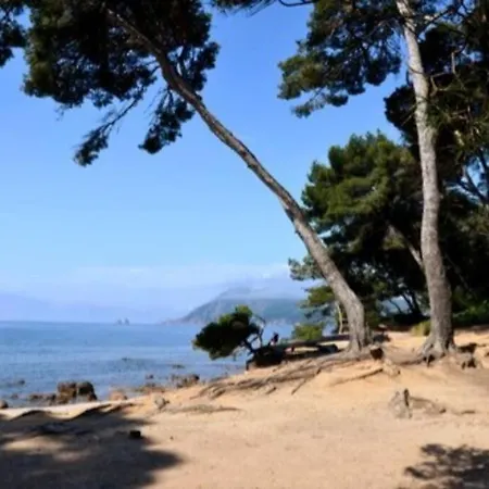 Zen Sud à Pied Pin Rolland Sablettes *