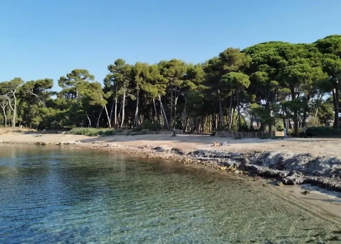 Apartamento Zen Sud A Pied Pin Rolland Sablettes *
